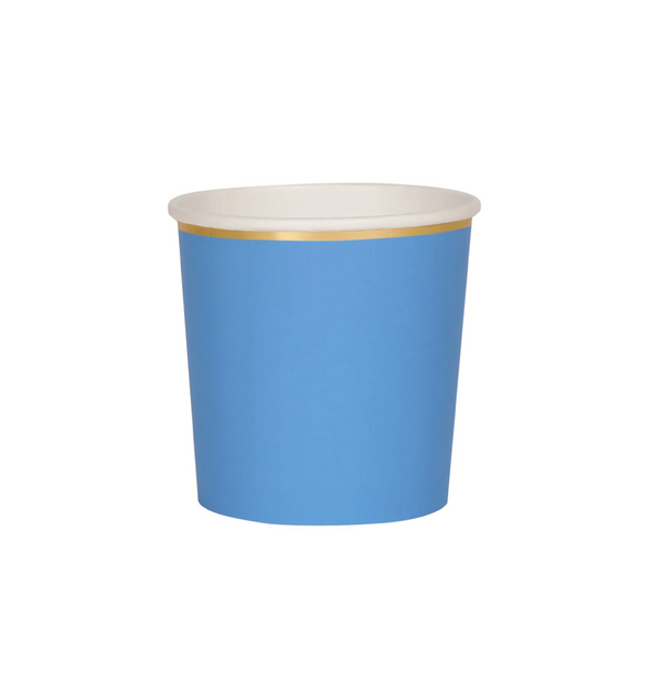 Blue Tumbler Cups